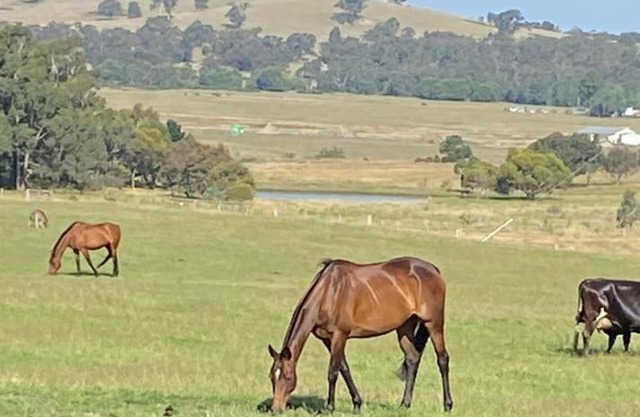 The Lancefield cottage - relax, revive and renew
