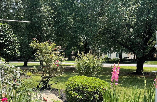 The Lincolnton Bungalow! Just 15 minutes from Lake Norman.