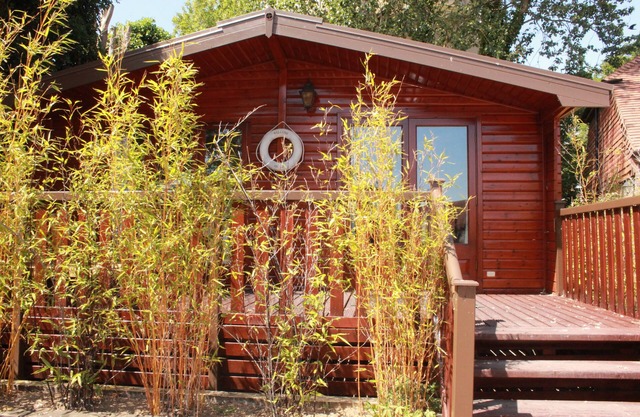 Appartement-Salle de bain privée séparée-Self Contained Cabin
