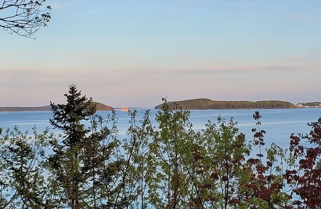 Le belvédère à Bar Harbor