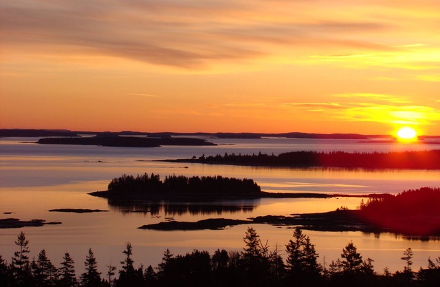 La beauté naturelle de Downeast, ME entoure Pyne Cove Cottage et vous souhaite la bienvenue!