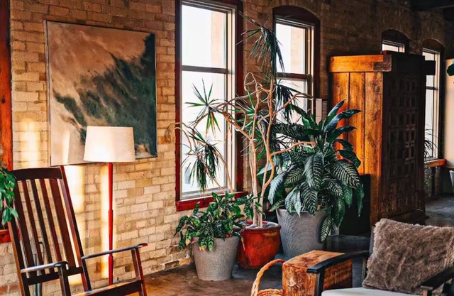 The Nest: A Luxury Penthouse Suite