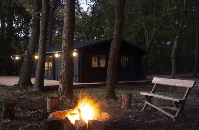 The New Forest Cabin in 12 acres of private woodland