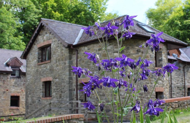 Le vieux moulin. Entouré par plus de 450 acres de ferme biologique