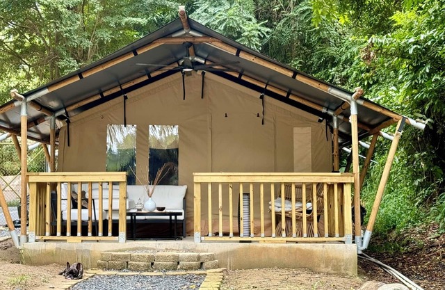 The ONLY glamping site in the New Millennium Forest in San Juan, PR