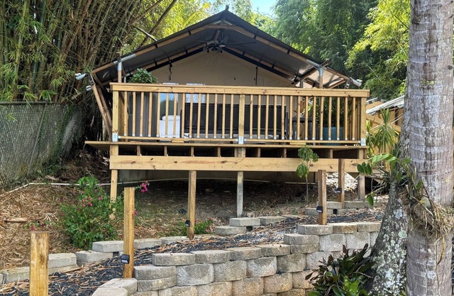 The ONLY glamping site in the New Millennium Forest in San Juan, PR