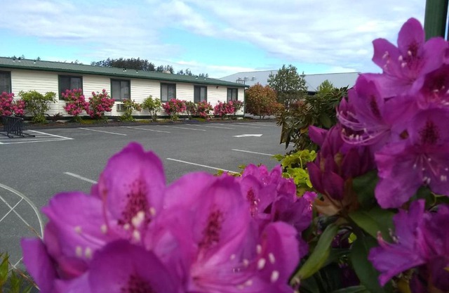 The Orca Inn