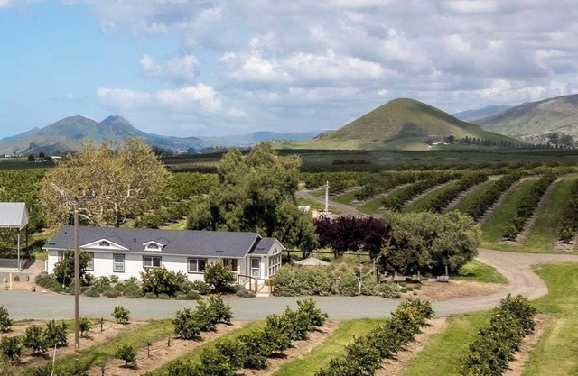 The Orchard House In Lovely Edna Valley. Sleeps 10