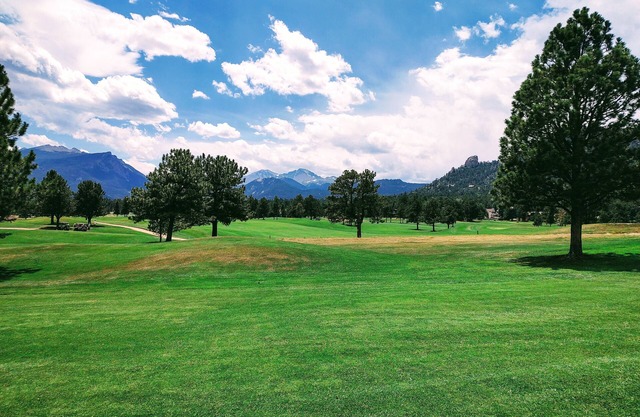 The Owls Nest; 30+ Day Stay, Golf Course, Wildlife, Mt Views, A+ Location