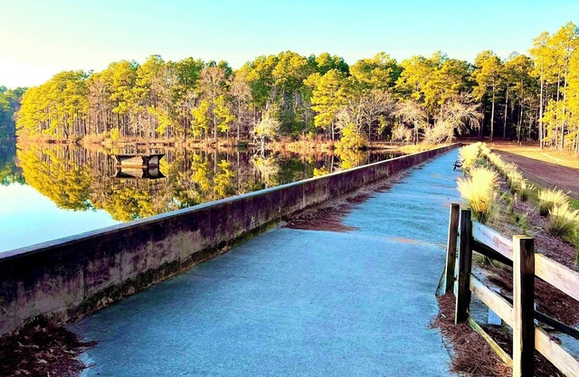 The Palmer Retreat on the Green-HotTub,SaltWaterPool,FirePit,Family,Events