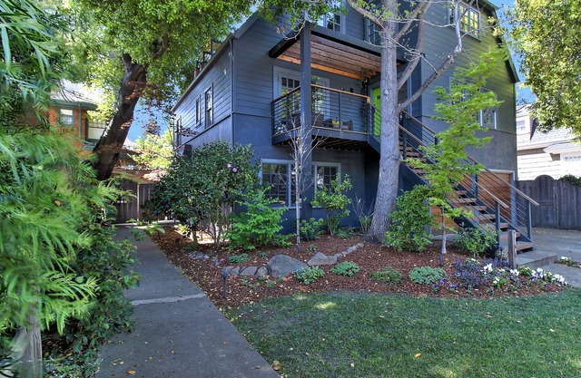 Palo Alto Treehouse