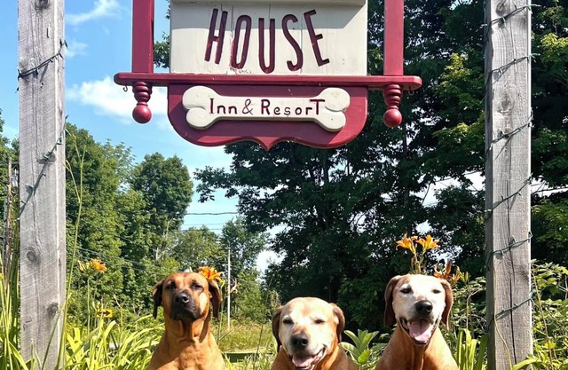 Some places accept dogs. At The Paw House Inn, we CATER entirely to dog lovers