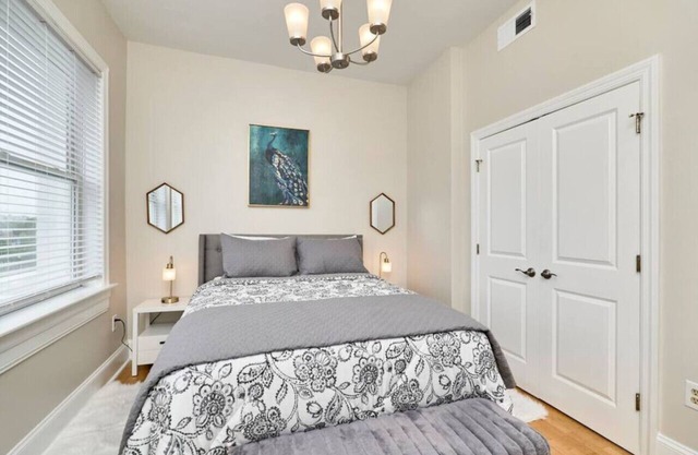 The Peacock Room,1 bd 1 ba, SLU, Grand Center, CWE