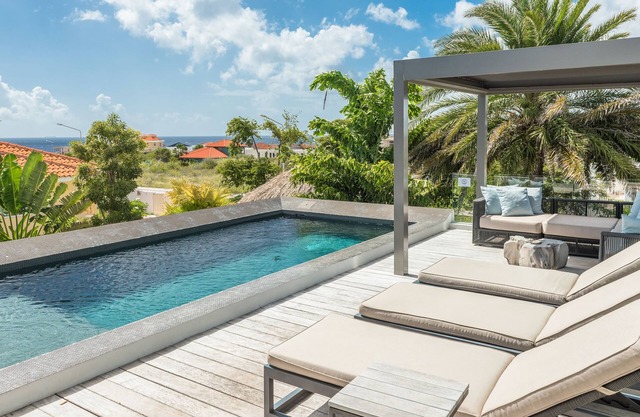 The Pearl of Jan Thiel, private pool, gym and game room 4