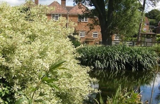 The Pelican Inn