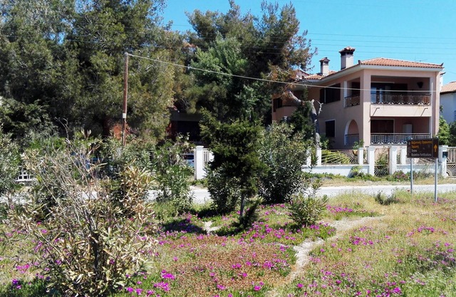 La Maison Rose Oleander sur la plage avec une vue spectaculaire - 6 personnes