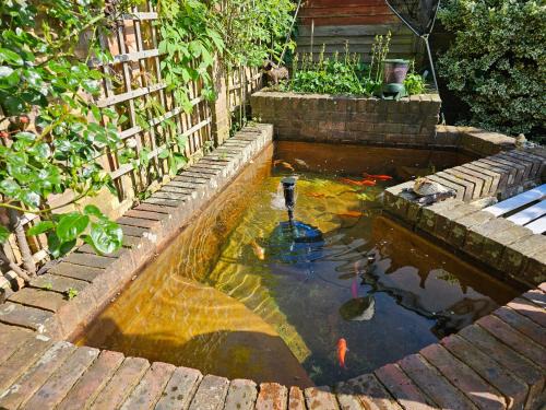 The Pond House
