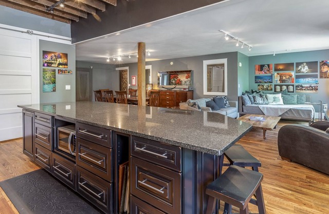 The Residence - Luxury 3 BR apt in downtown Danville
