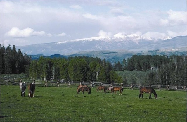 Le Ritz à Trail Creek Ranch