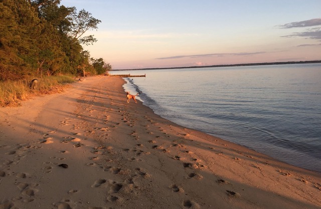 The River House at Whitestone: Pet Friendly, Secluded Private Beach, w/ Kayaks!