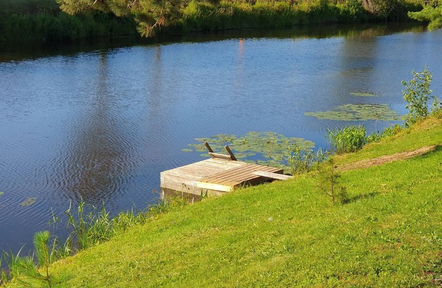 The Riverbank Bungalow