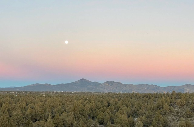 The Roost: Mountain View Equine Oasis on 6 Acres