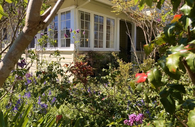 Luminous and cozy studio one block from Healdsburg's idyllic plaza!