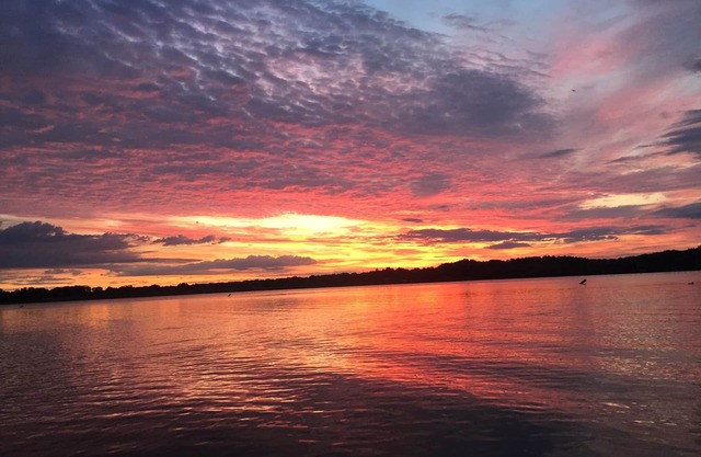 The Sandpiper Cottage at Lake Milton (BEACH,KAYAKS&DOCK!)