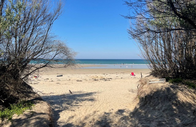 Le Shack - Luxe Plage Accueil