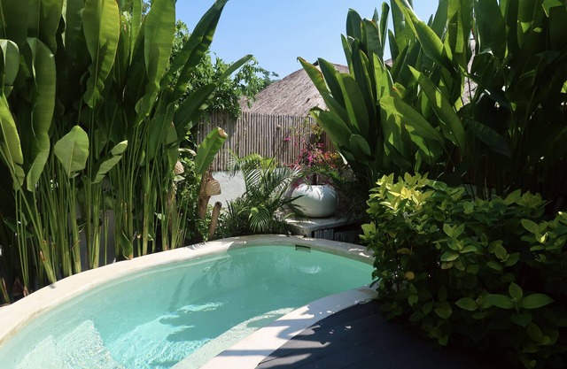 The Garden Shacks at Sandy Bay