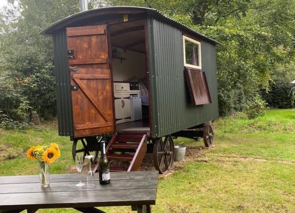 The Shepherd's Hut - Wild Escapes Wrenbury off grid glamping - ages 12 and over