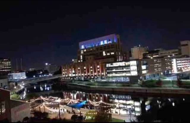 The Skyline Penthouse : Downtown ( Luxury )
