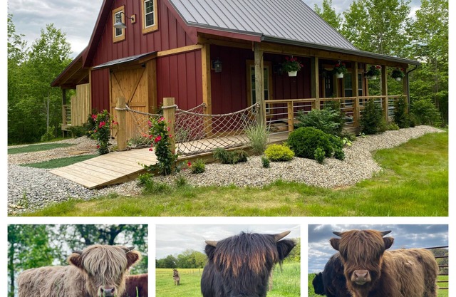 The Stable at Dogwood Ridge Farms: Highland Cow and Mini Donkey Farm