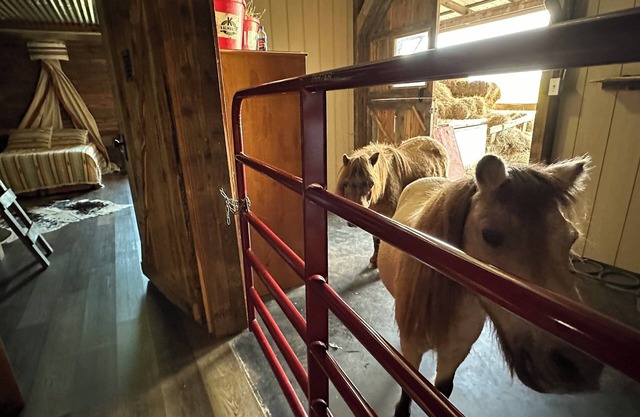 The Stable- a charming 3-bedroom barndominium on a 40 acre guest ranch
