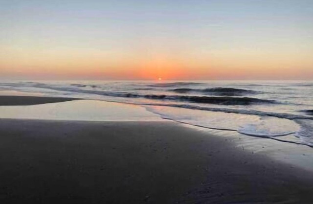 The Tipsea Turtle Beach Retreat