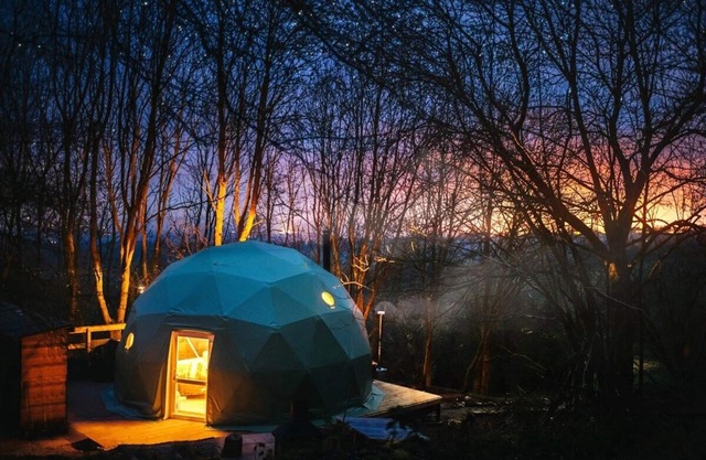 The Tree Dome - Retraite luxueuse de glamping