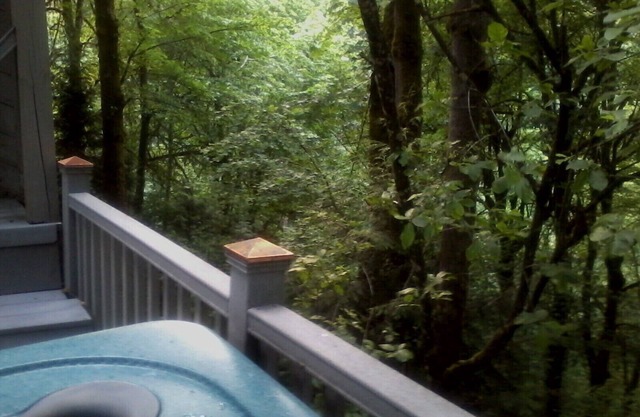 Le TreeHouse 1 Chambre d'hôtes Suite
