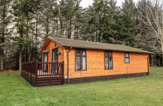 THE TREELINE, pet friendly, with a garden in Felton