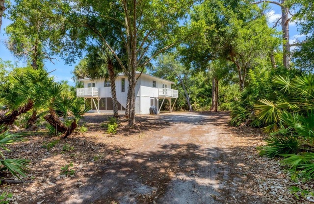 The Treetop Cottage