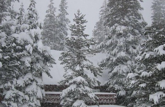 The Cabin ultime Kirkwood