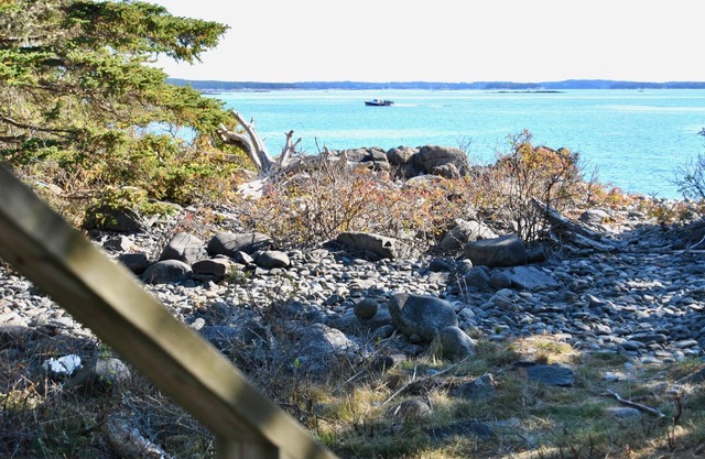 LA TRÈS MEILLEURE RETRAITE DE GLAMPING OCEANFRONT À DOWNEAST MAINE!⚓ 🌊 🐕
