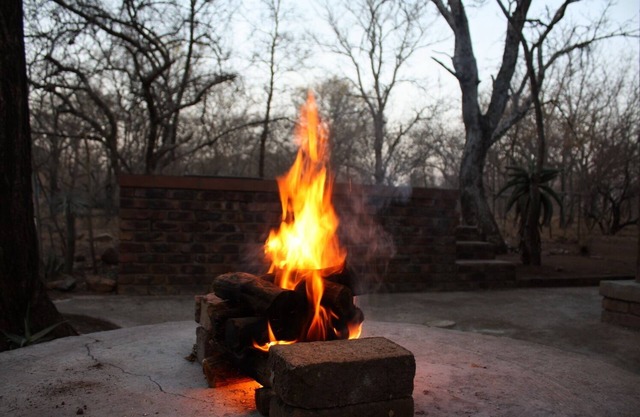 The Wild Garden - La brousse africaine vit comme il se doit!