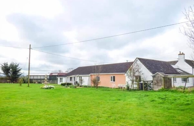 Les saules, COCKSHUTT