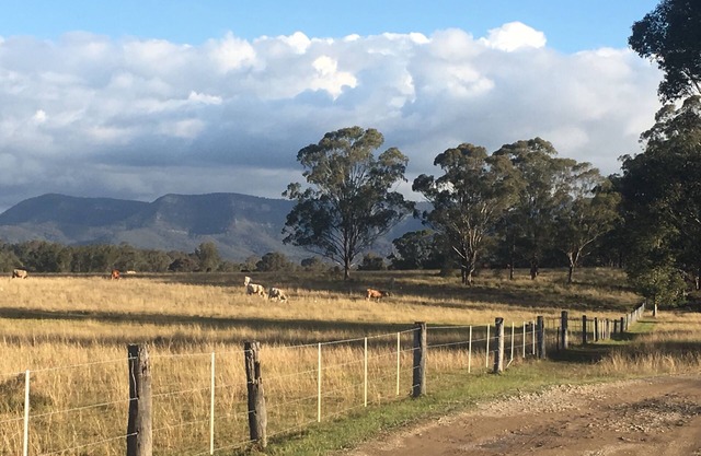 Le bûcheron du hangar Hunter Valley