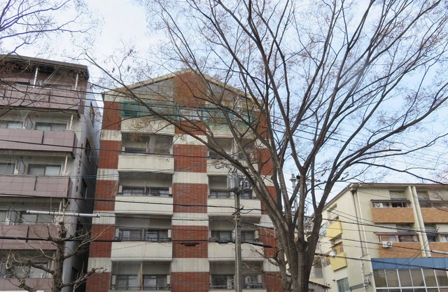 Cet hôtel d'appartements fait face à Kitayama Dori à Kyoto.Prenez le bus de la ville [North 1] depuis la station Kitaoji sur le métro Karasuma Line et descendez à l'arrêt de bus [Jotokuji-mae].