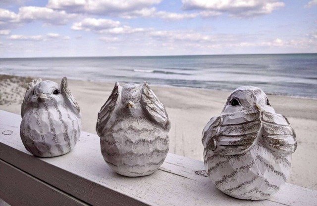 Three Little Birds - Oceanfront Condo with Private Decks and Community Pools. Mu