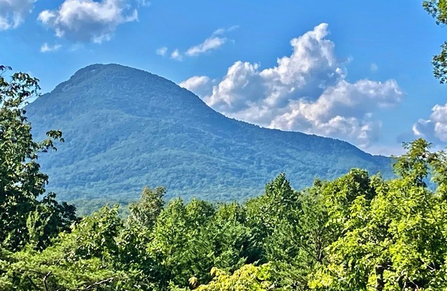 Weekend Sale! THUNDER RIDGE LODGE. AWESOME VIEW OF MT YONAH! Peace & privacy.