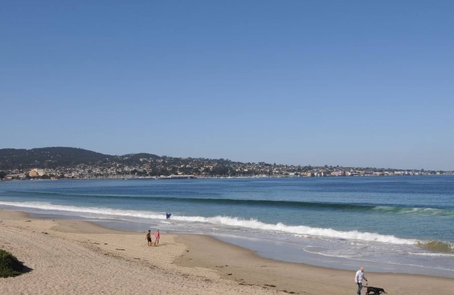 Tides In - Monterey Beach House - Au bord de l'océan