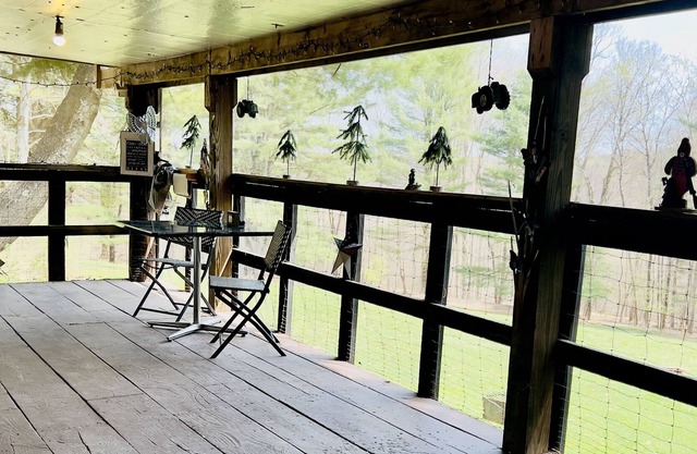 Tidioute Allegheny River- Kayaking, Fishing and More- Pets Friendly
