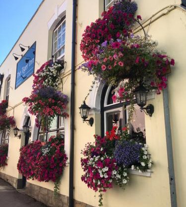 tiger inn